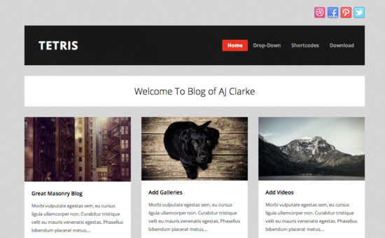 free wordpress themes for visual artists: Tetris