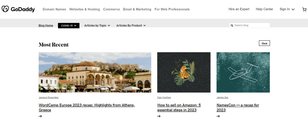 wordpress blog examples: GoDaddy