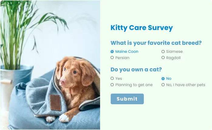 quiz and survey form example image