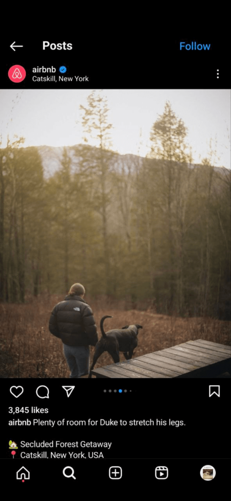 Airbnb instagram post, a dog running in front of its owner