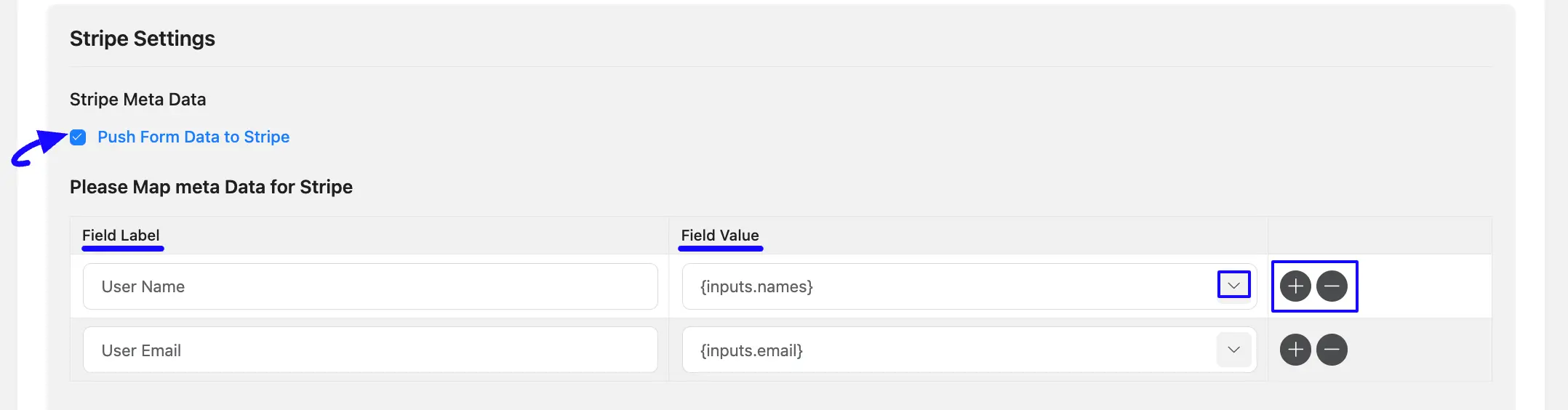 14. Stripe meta data option 48155