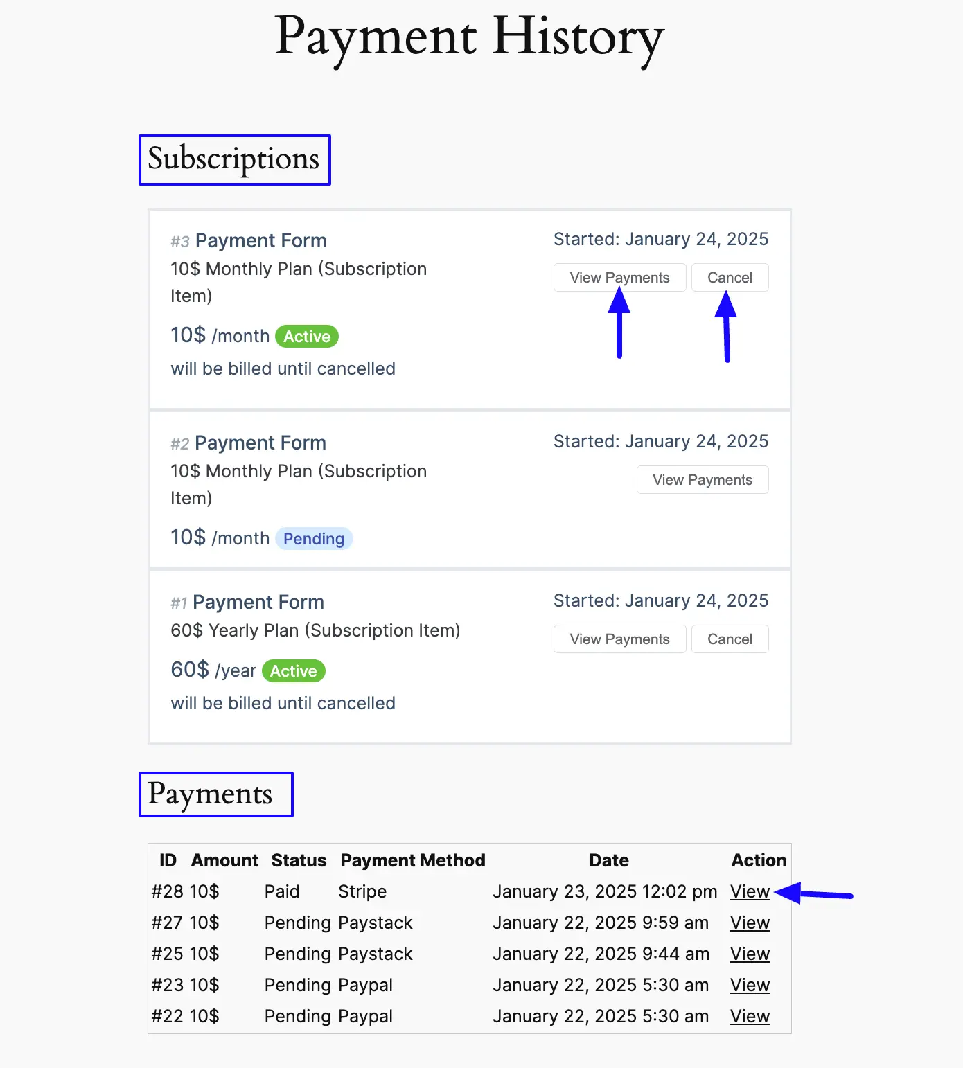 5. Preview of Payment History 48169