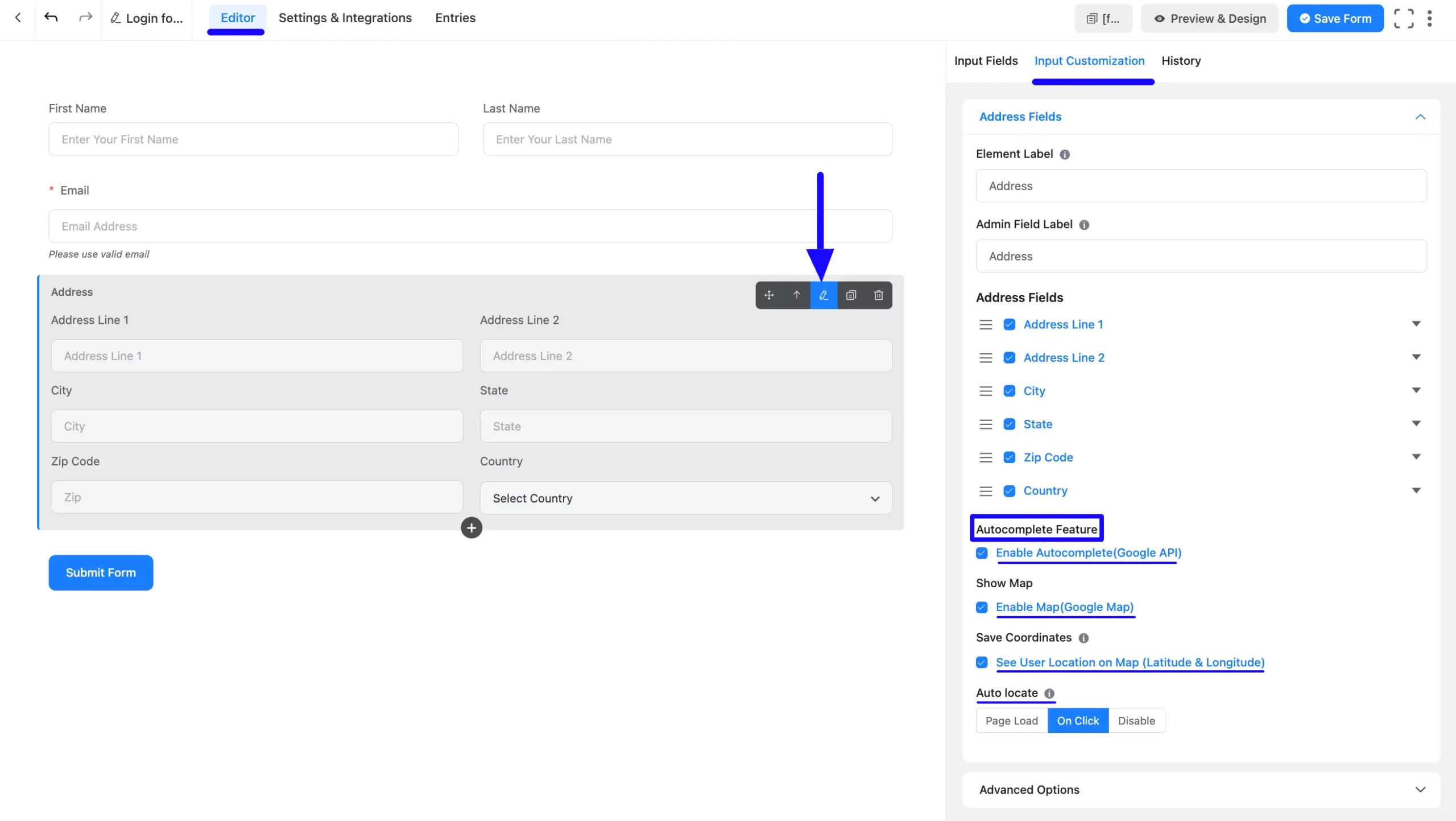 14. Input Customization tab of Address field scaled 46128