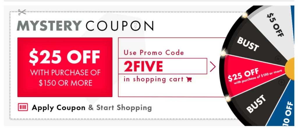 eCommerce store mystery offer; how mystery coupon works and how to give it.